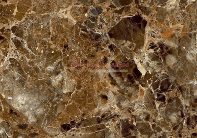 Gạch Ốp Lát APODIO 48950